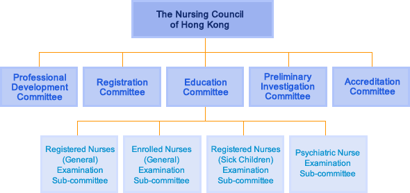 Nursing Organizational Chart